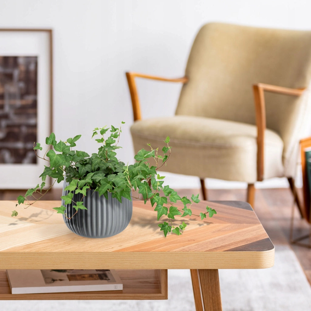 Vaso da fiori in ceramica KADAX, rotondo, 14 cm, grigio