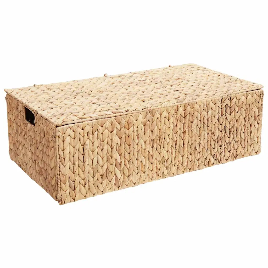 Scatola di Stoccaggio Naturale 60 x 38 x 20 cm Giacinto d'acqua 42020145