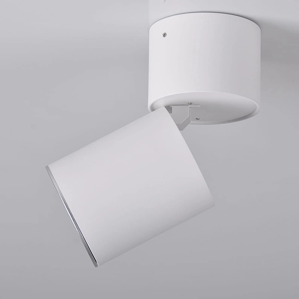 Spot da superficie orientabile GU10 bianco/argento Astra Polux