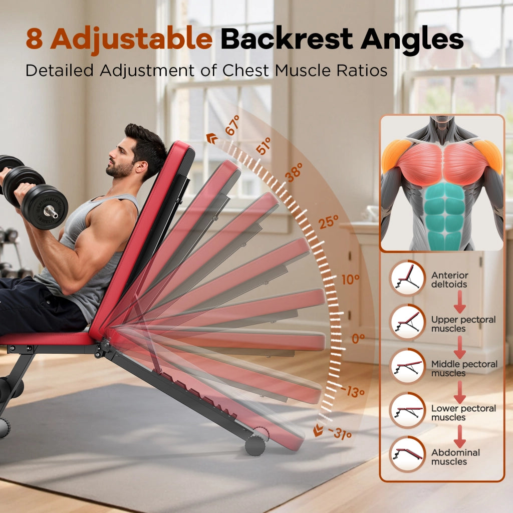 Panca Pesi Regolabile per Palestra Casa ¨C Xylo ¨C Grigio 120x50x110 cm