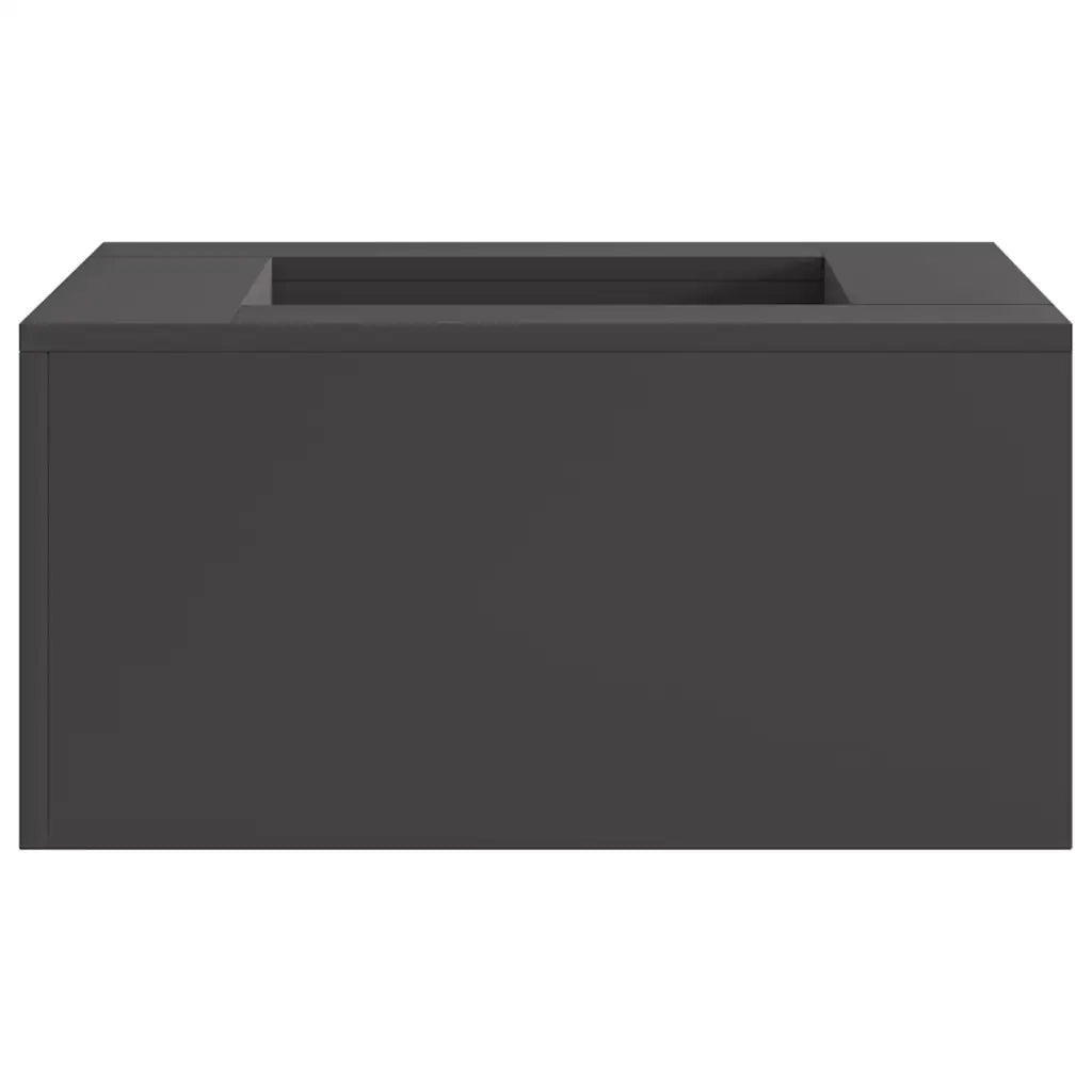 Focolare Nero 60 x 60 x 30 cm Acciaio CFW3375085