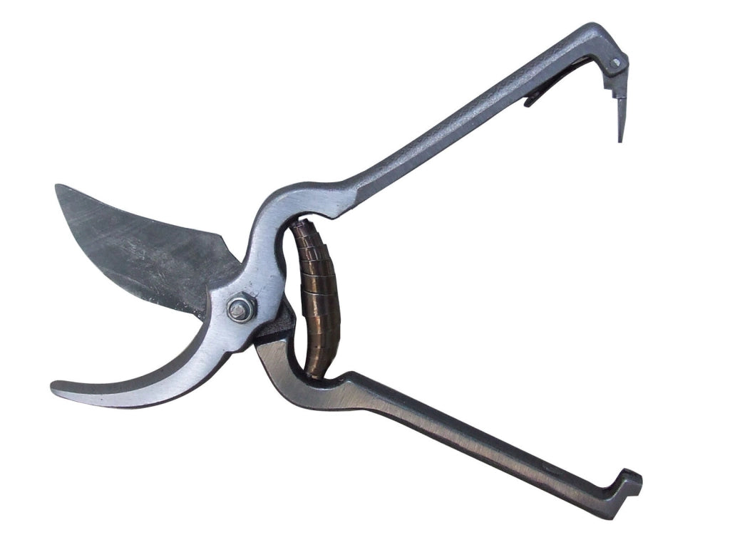 Ecef Art 20429 Forbice Vigna Economica 23cm