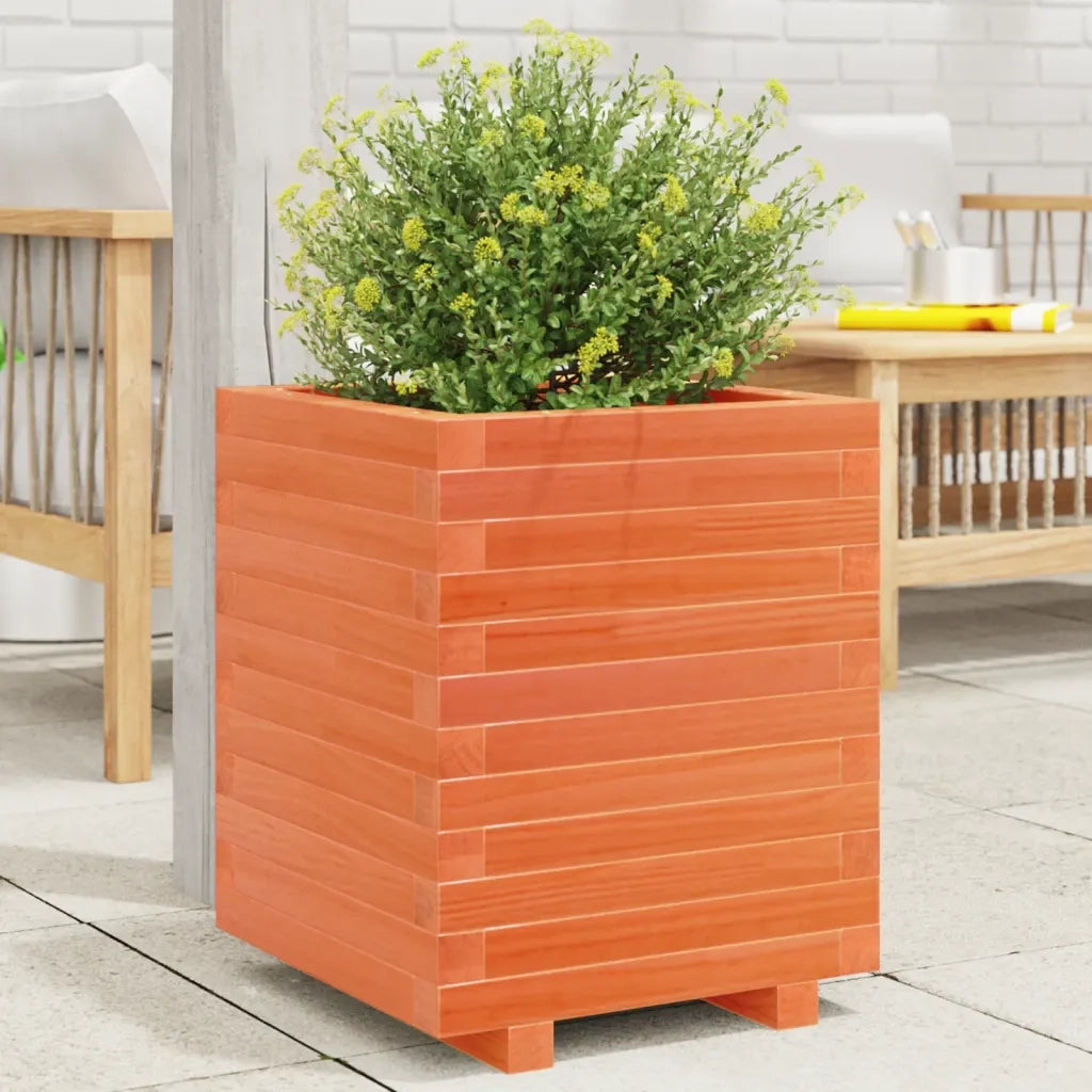 Fioriera | Cassetta per fiori | Vaso Giardino Marrone Cera 40x40x49,5cm Legno Massello Pino