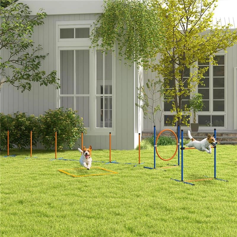 SET AGILITY DOG CON ANELLO E BARRA PER SALTO, PALETTI SLALOM, FISCHIETTO, PALLINE E BORSA, ARANCIONE