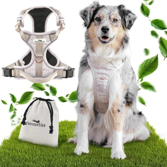 Cinturone per cani con imbottitura respiratoria, forma aderente robusta, barriere anti-pull per cani grandi, medi e piccoli (M)