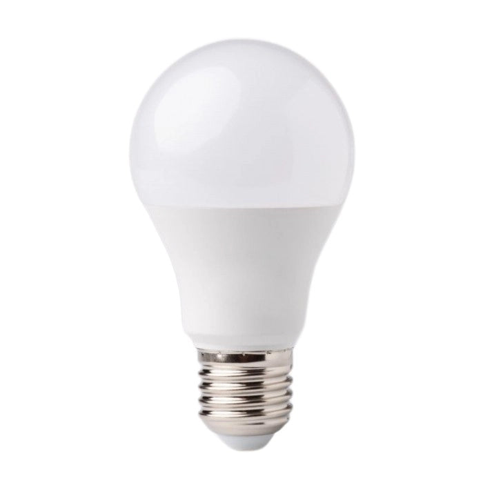 Lampadina LED E27 12W 1080lm 6500K Globo Ecolight