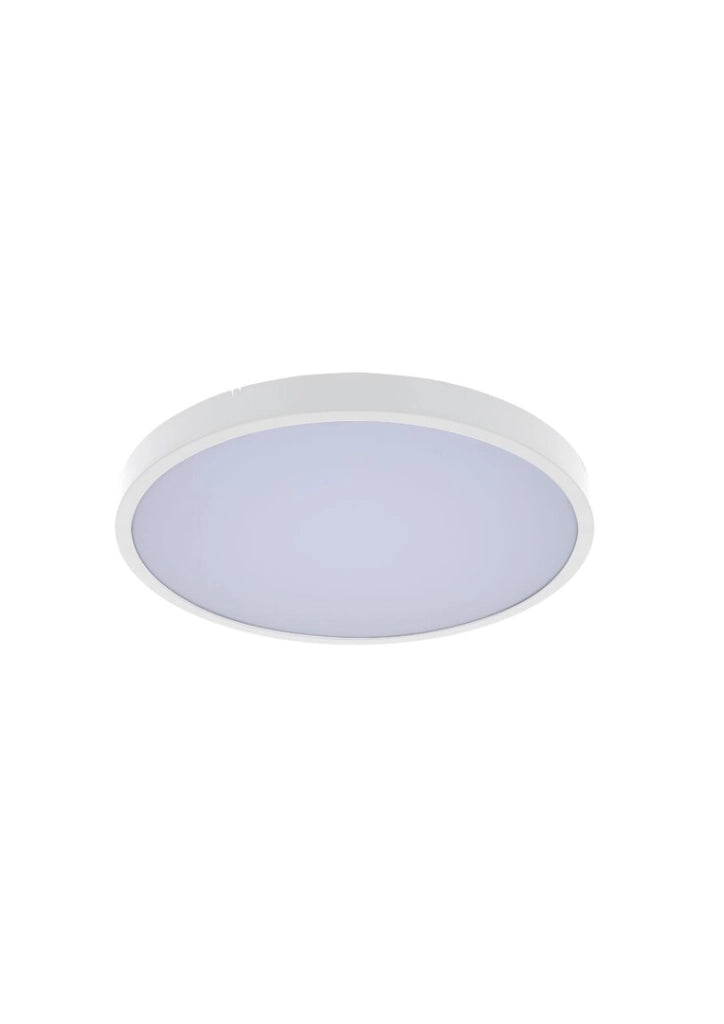 Plafoniera bagno LED Rabalux Alenzo Ø35 24W IP44 CCT