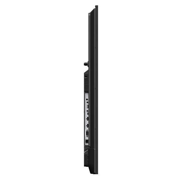 Multisync e559 - 60006183
