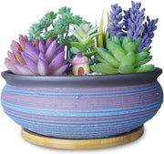 Pianta di succulente in ceramica rotonda con drenaggio - 195 cm - per interni e esterni - decorazione di giardino e abitazione