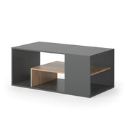 Vicco Tavolino da salotto Antracite/quercia dorata 110 x 59 cm