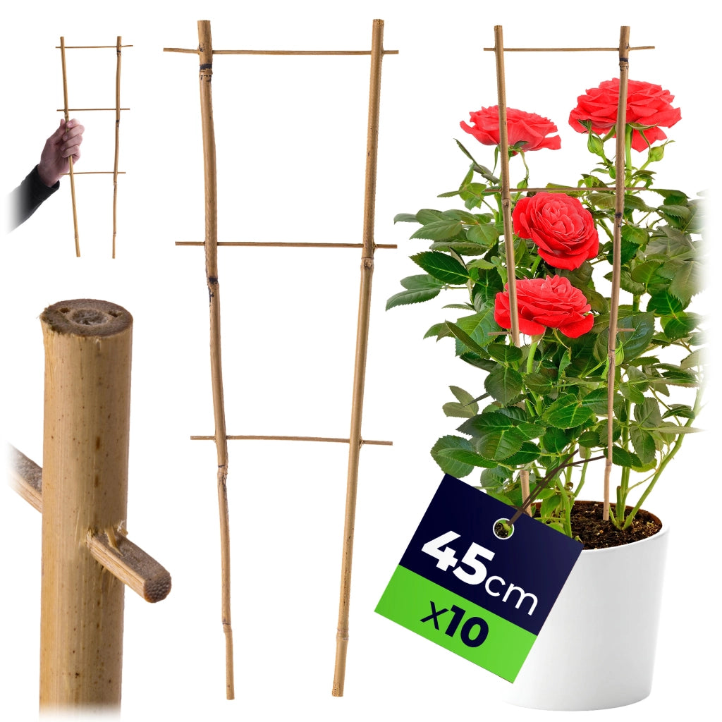 KADAX Drabinka bambusowa podwójna 45cm 100506 BAM3