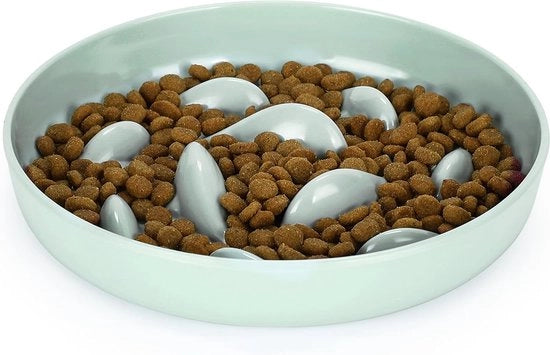 Cibo per Gatti Anti-Knoeien con Base Anti-Slittamento e Alimentazione Lenta per Gatti e Piccoli Cani