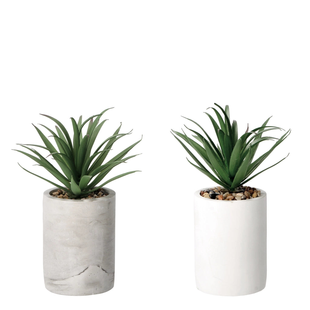 VASO CON PIANTA GRASSA DECORATIVA D.9XH22CM IN 2 C