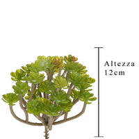 Set 9 Aoenium Succulent Artificiale Altezza 12 cm Verde