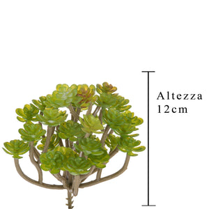 Set 9 Aoenium Succulent Artificiale Altezza 12 cm Verde