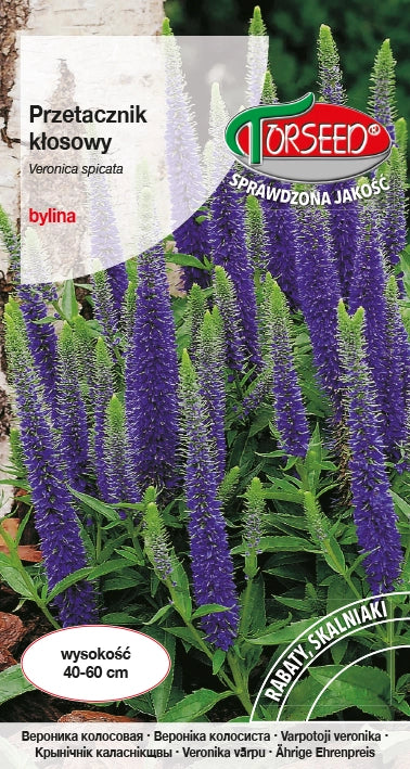 Orecchio speedwell - Veronica spicata blu intenso 0,2g