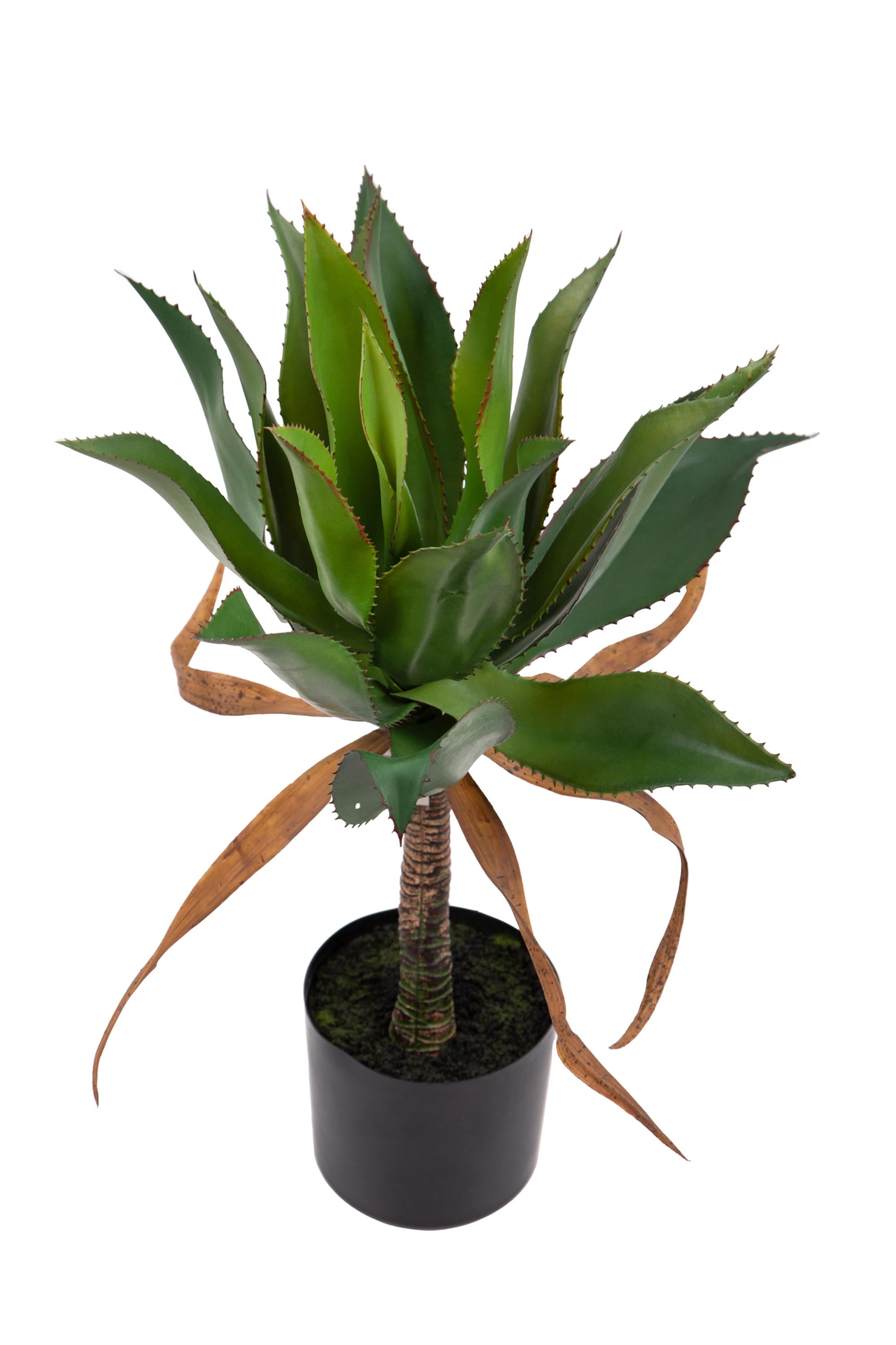 Pianta Artificiale Agave H71 cm con Vaso