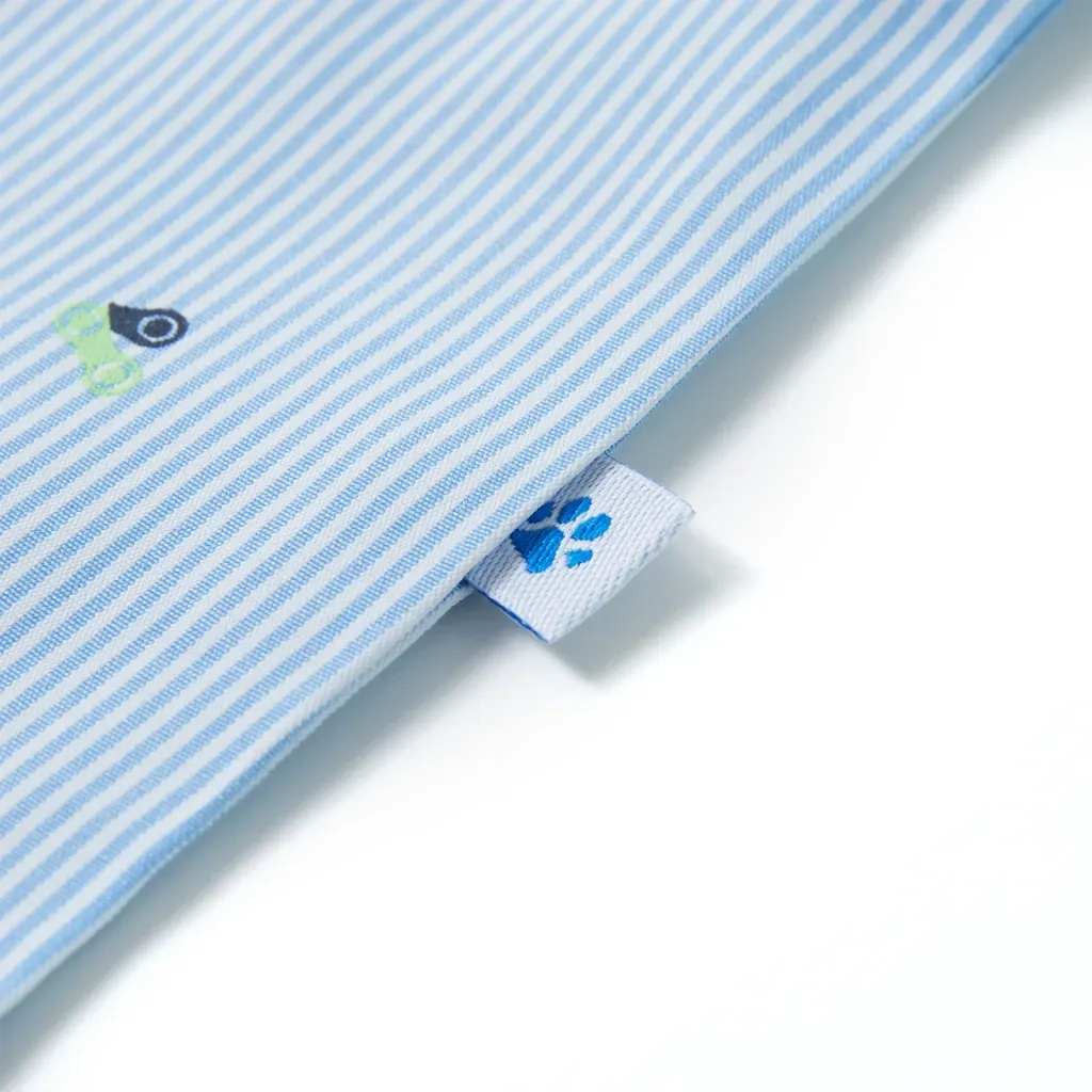 Camicia da Bambino Azzurra 104