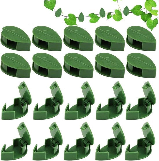 Clip per piante per parete di rampicanti - 50 pezzi clip riciclabile inosservabile adesivo acrilico per l'archiviazione dei fusti di piante da giardino