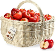 Borsa ovalare in rattan per funghi e spesa - cestino robusto per picnic con manico - contenitore per bottiglie per giardino - borsa da trasporto (bianco 36x28x27cm)