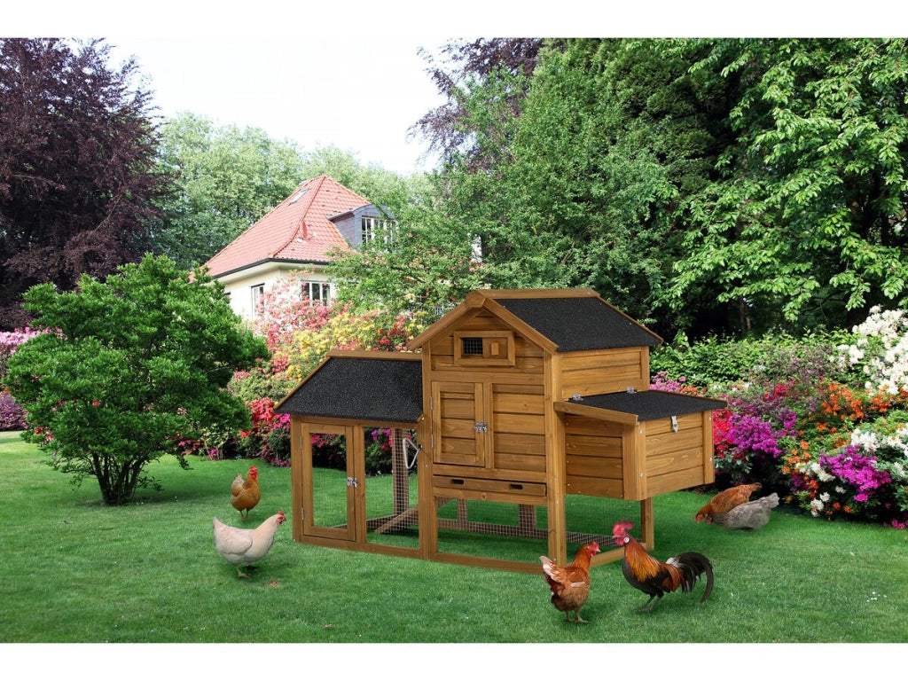 Pollaio "Poulette" con cassetta nido in legno - Marrone