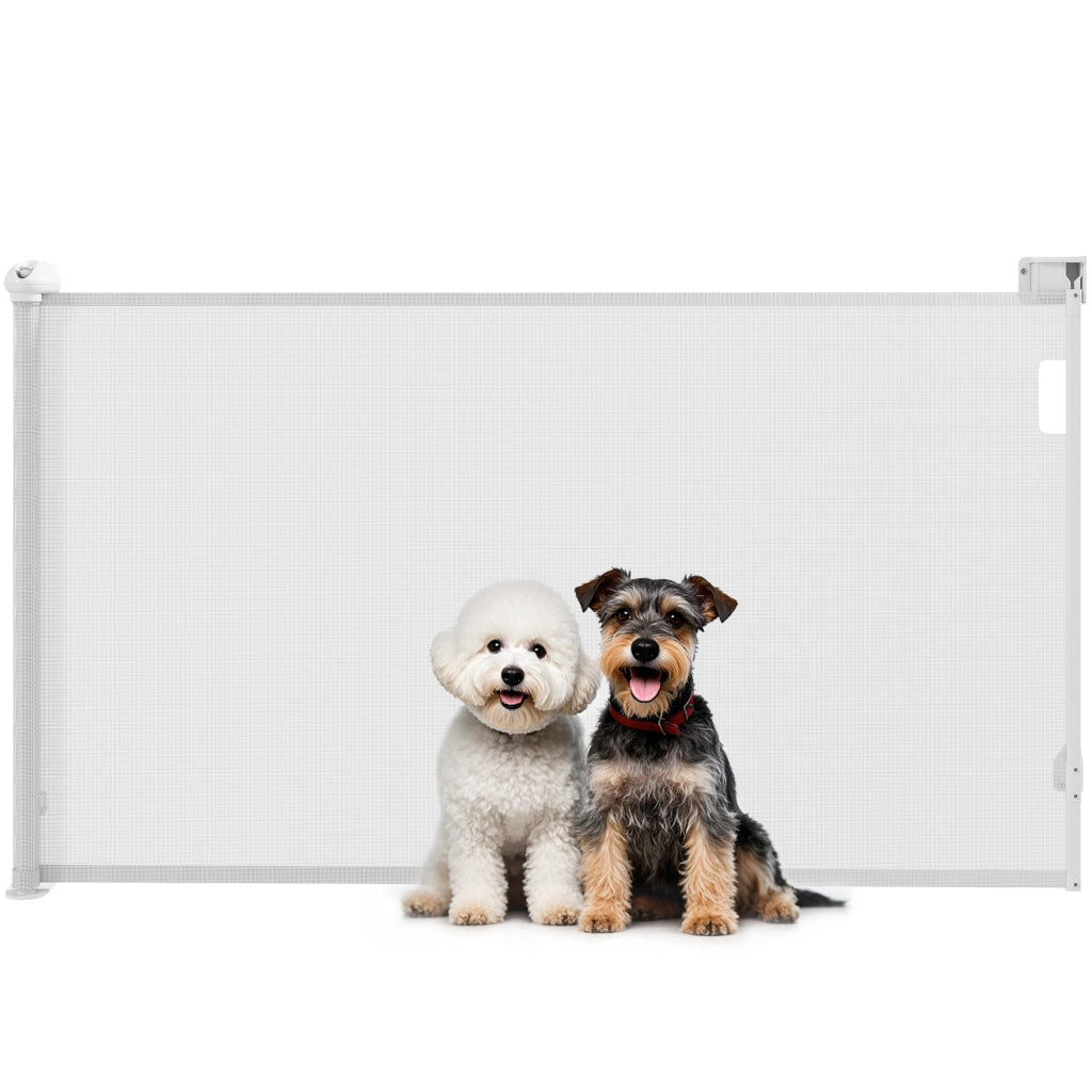 Cancellino per Cani Piccoli Estensibile 0-125 cm e Retrattile con Blocco Automatico, Bianco