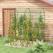 Grigliato per piante rampicanti da giardino in acciaio verde con rete, struttura regolabile 144x167x206 cm