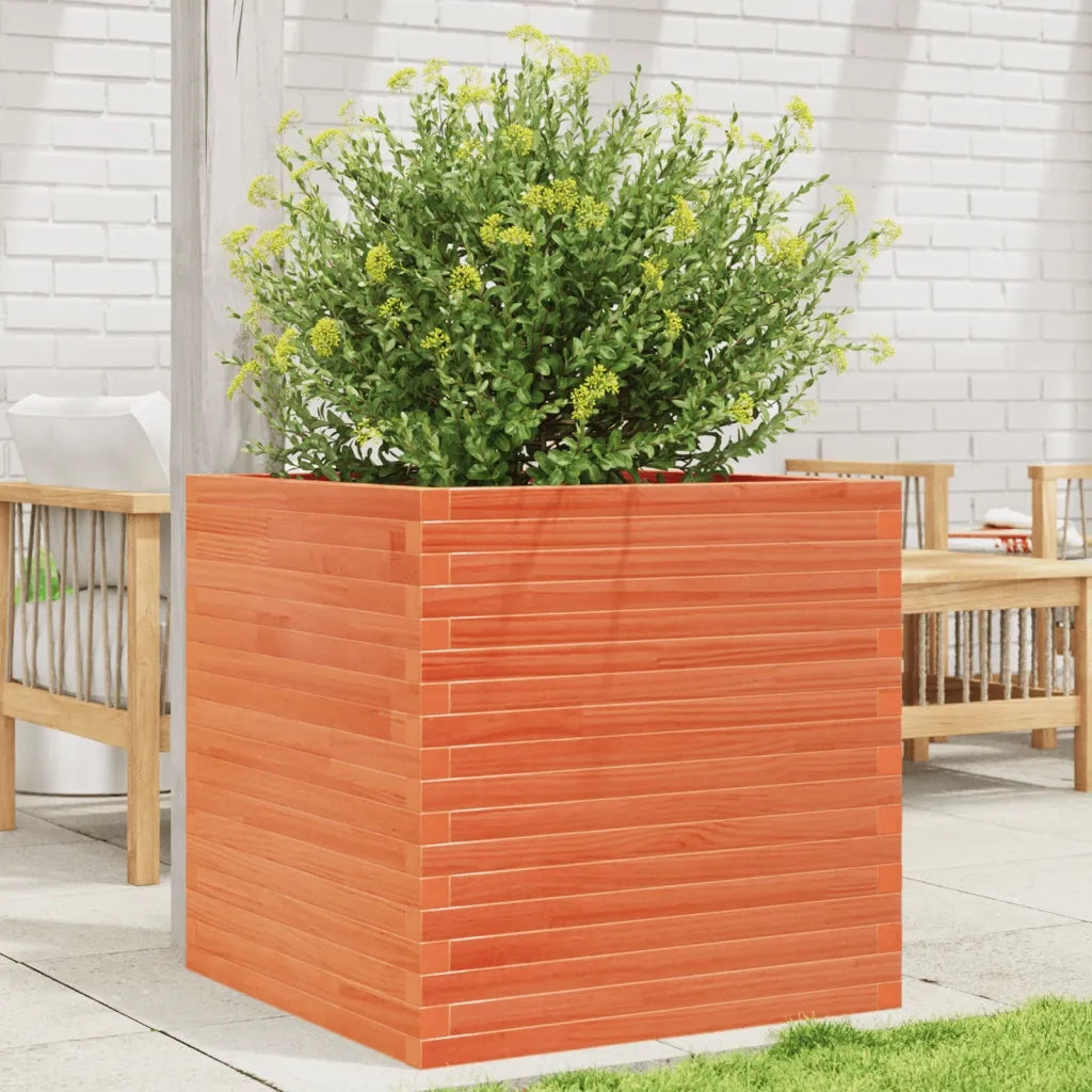 Fioriera | Cassetta per fiori | Vaso Giardino Marrone Cera 70x70x68,5cm Legno Massello Pino