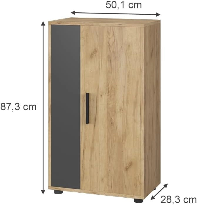 Cassettiera Berno, Quercia dorata/antracite, 50.1 x 87.3 cm con 2 scomparti, adatto per riporre oggetti di vario tipo