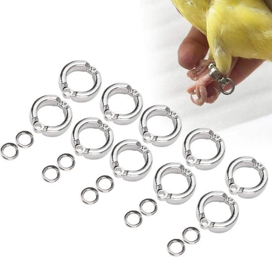 10 pezzi di Bird Voetringen Rvs Trainingsbanden per pappagalli e uccelli