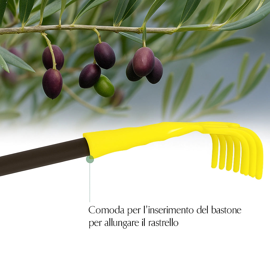 Rastrello per Olive a 9 Denti larghezza 14 Cm, Raccolta Olive, Noci e Nocciole, con Foro per Manico NUMERO ARTICOLI: 5 PZ