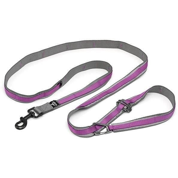 Guinzaglio a mani libere - KURGO - QUANTUM - 6 posizioni - da 120 a 180 cm - Viola