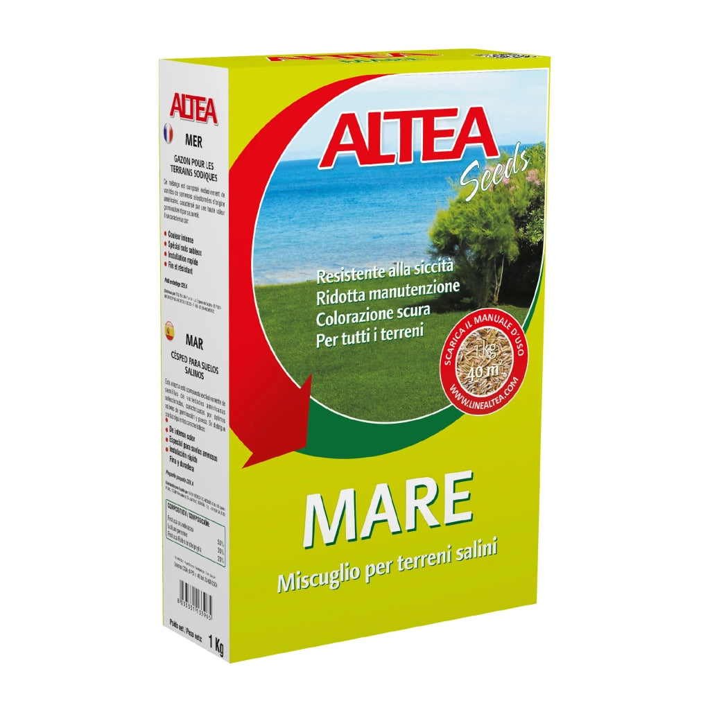 Altea Mare – Semi per Prato per Località di Mare 1 kg | Resistente a Salsedine, Caldo e Siccità