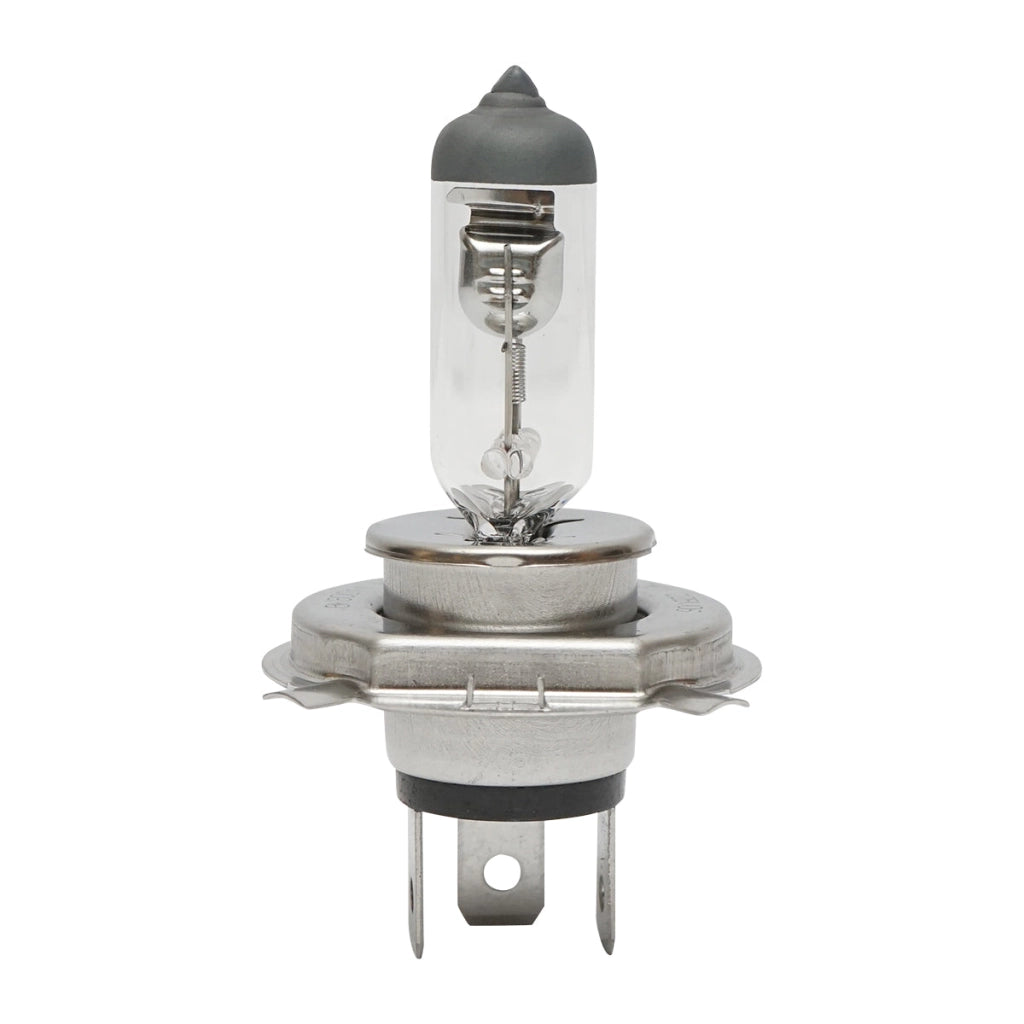 Lampadina faro alogena P43T H4 12V 60x55W
