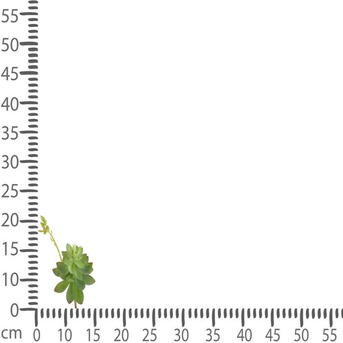 Set 6 Echeveria Cactus Artificiale Altezza 21 cm Verde