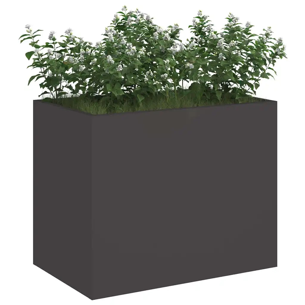 Fioriere | Cassetta per fiori | Vaso da giardino Nero 50 x 32 x 40 cm Acciaio laminato a freddo