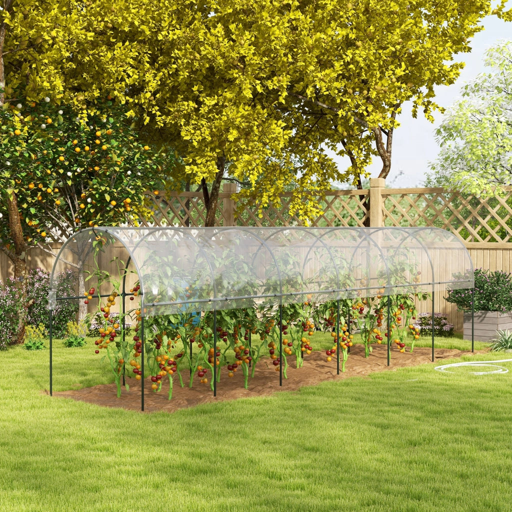 Serra da giardino per pomodori ¨C zephmum ¨C verde 6x1.23x1.71 m
