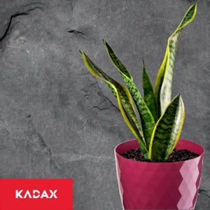 Vaso da fiori KADAX, fioriera, coperchio, 30 cm, supporto per fiori, plastica rosa, 3 pezzi.