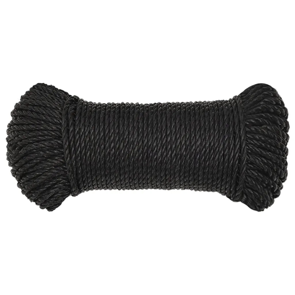 Corda da Lavoro Nera 6 mm 500 m in Polipropilene 153005