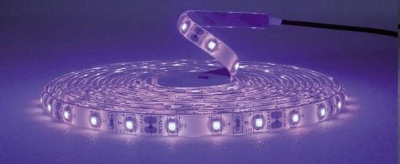 STRISCIA 5M IP65 3528 60LED/M 12V 4,8W/M 110LM/M BLU