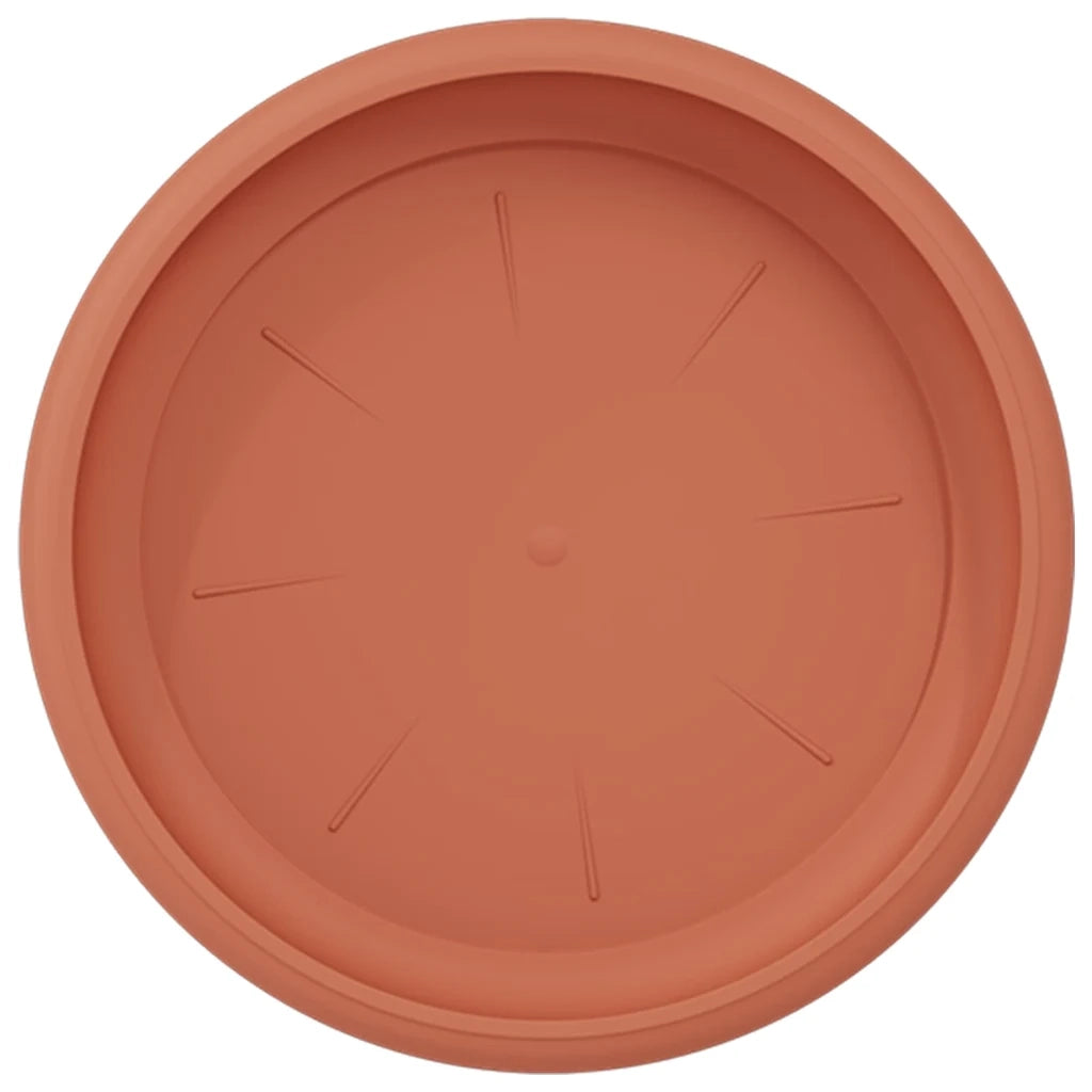 Vassoio Rotondo per Fiori 6 pcs Rosso Mattone Ø 17,5 x 2 cm 42020301