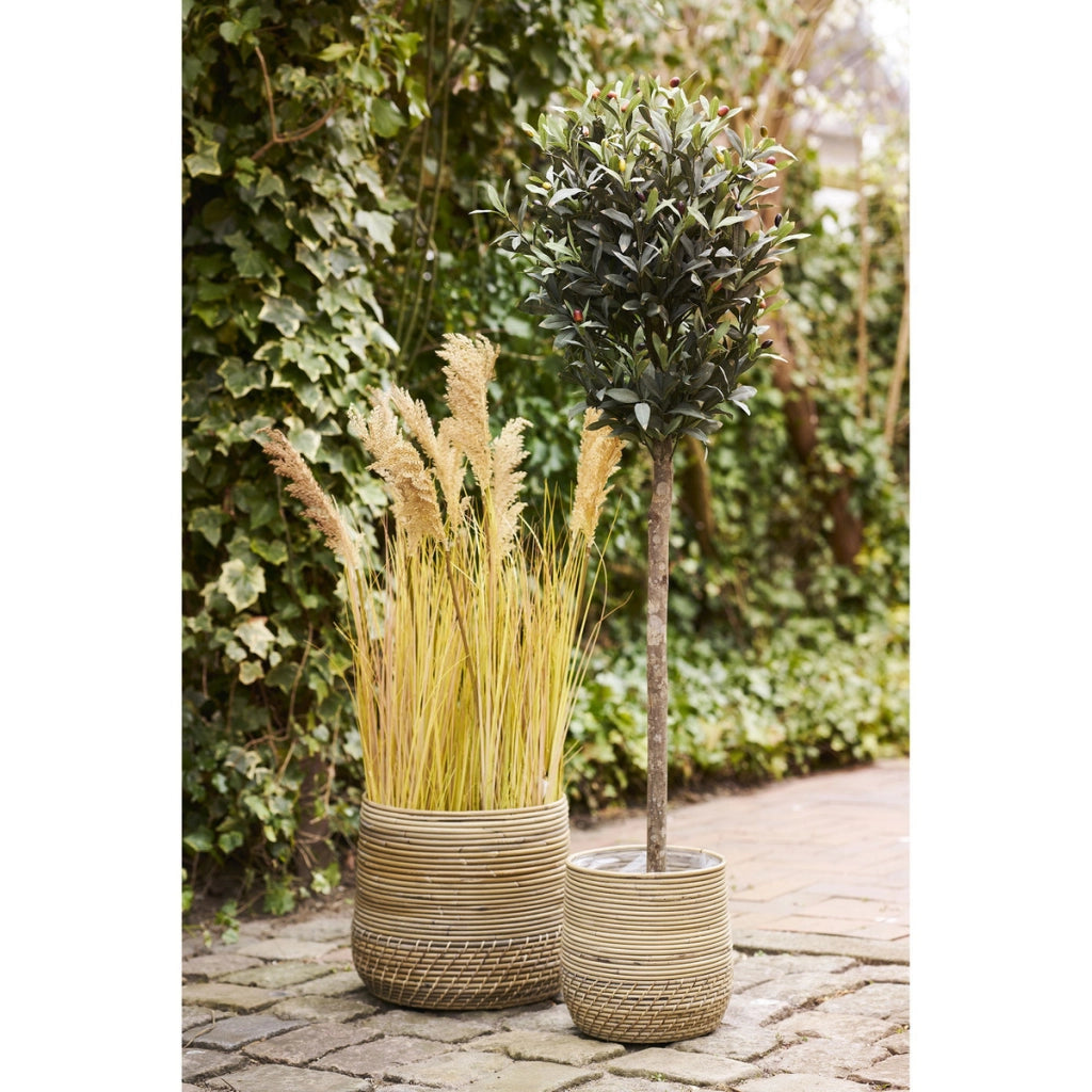 Set di 2 Cesti Portaoggetti Moro, Beige, Rattan, 25x25x28 cm