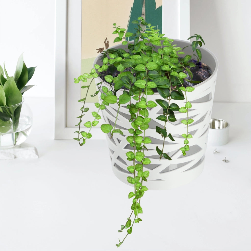 KADAX - Inserto in plastica per vaso di fiori e piante, 19 cm, grigio