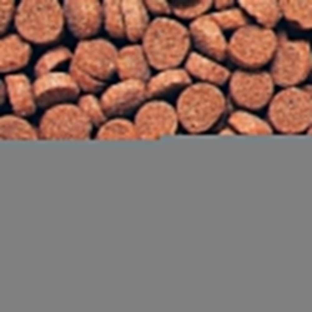 Hikari Tropical Sinking Carnivore 74gr - Alimento Completo per Specie Carnivore da Fondo