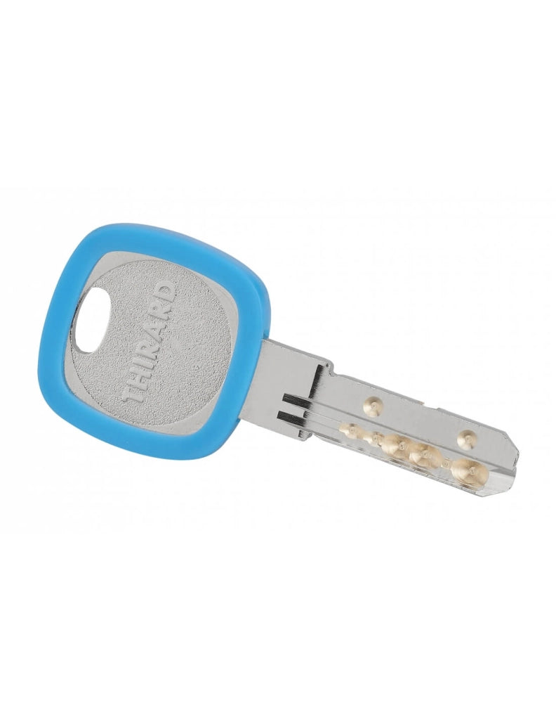 Anello portachiavi Ø 30 mm, colori assortiti – THIRARD