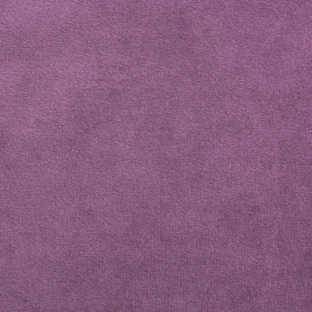 Divano Sedia-Poltrona uovo Viola Velluto