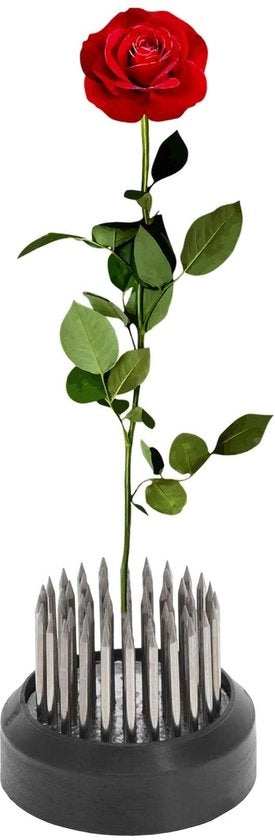 Kikker per fioriera 35 mm - Acciaio inossidabile - Kikker con spillo - Supporto per fiori - Stabilità - Ideale per fiori e composizioni floreali