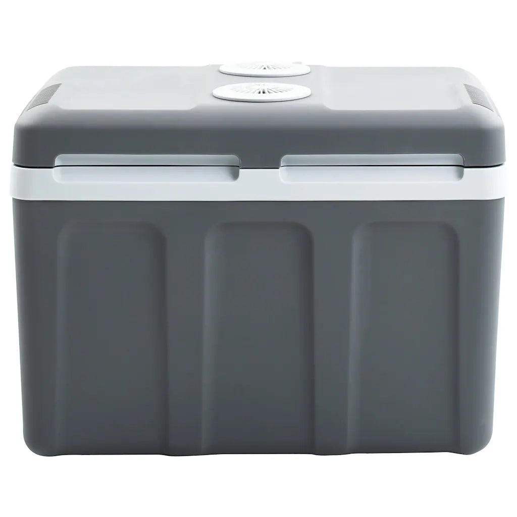 Scatola Termoelettrica Portatile 40 L 12 V 230 V E 51199