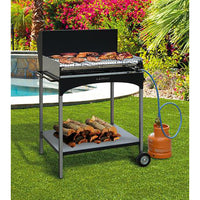 Barbecue Multiuso Legna Carbonella Gas Griglia in Acciaio Famur BK 8 Eco Gas