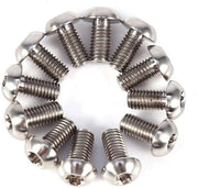 Remschroeven 12 pezzi - Leggeri - Resistente alla corrosione - Alta resistenza - Torx - Adatti per Auto/Moto - Bocchette di freno